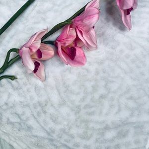 Luxury Velvet Plush Throw - White